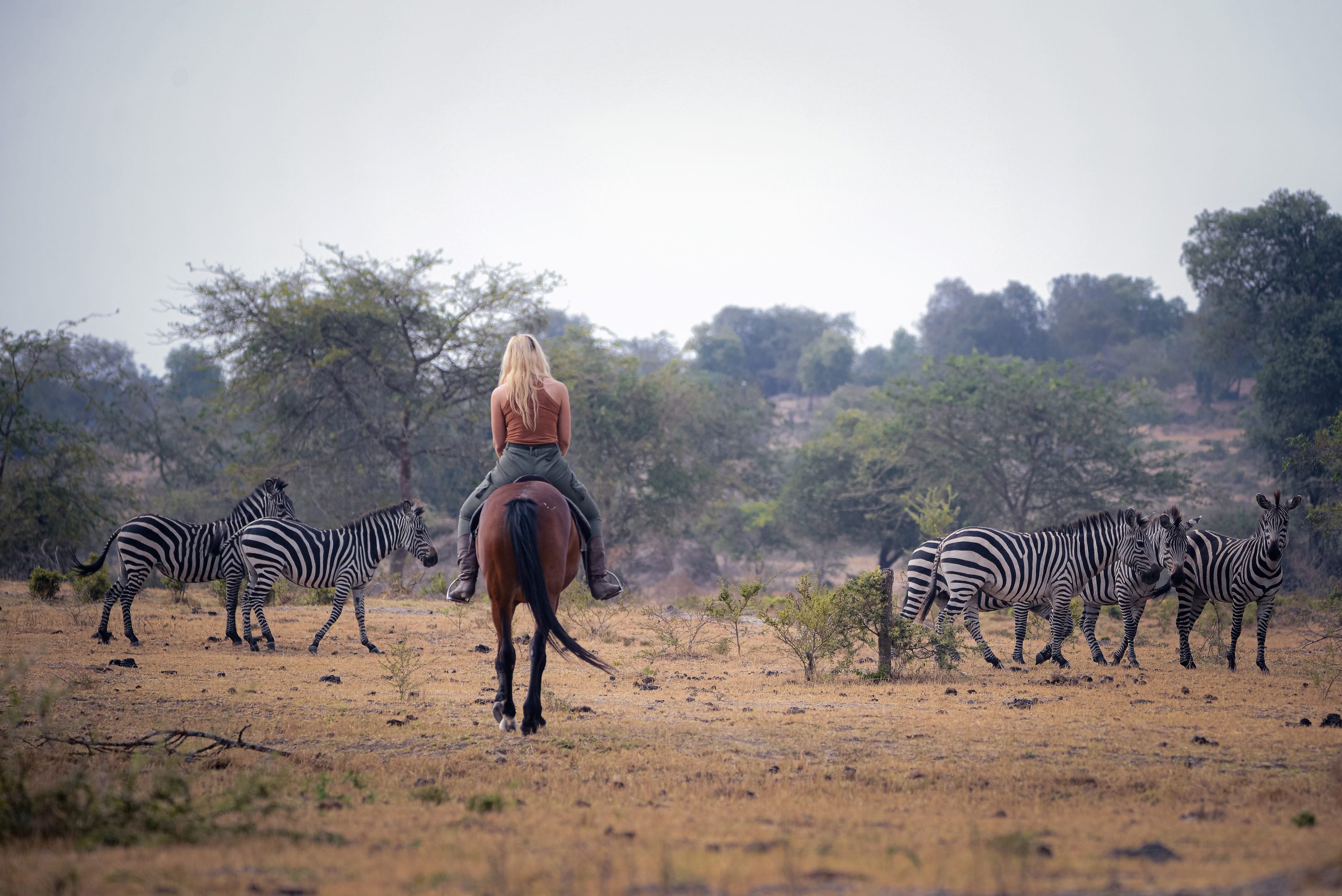 3 Days Horseback Adventure